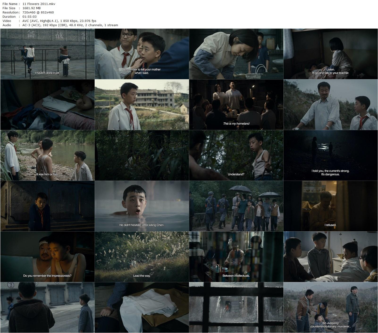 11 Flowers (2011) Xiaoshuai Wang, Jingchun Wang, Wenqing Liu, Guo Liuxing Zhong-poster