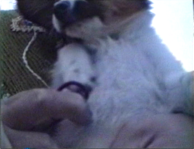 Takashi Ito - 12-gatsu no kakurenbo (1993)-poster