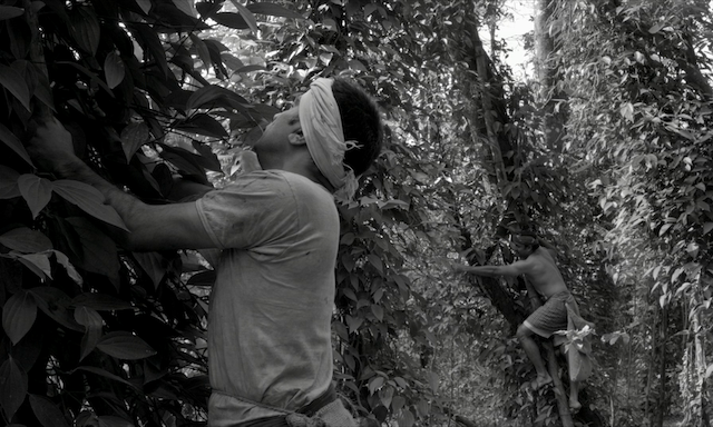 1956, Central Travancore (2019)-poster