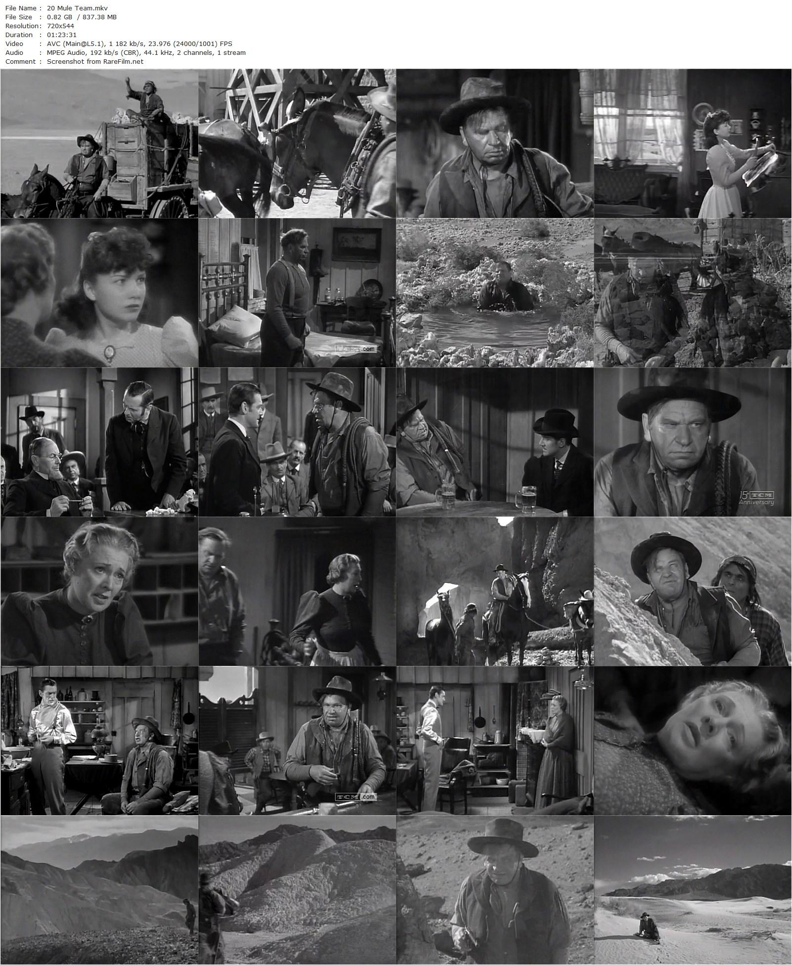 20 Mule Team (1940) Richard Thorpe, Wallace Beery, Leo Carrillo, Marjorie Rambeau-poster