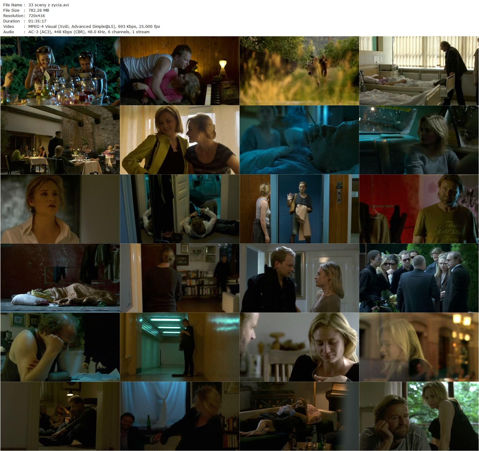 33 Scenes from Life / 33 sceny z zycia (2008) Malgorzata Szumowska, Julia Jentsch, Peter Gantzler, Maciej Stuhr-poster
