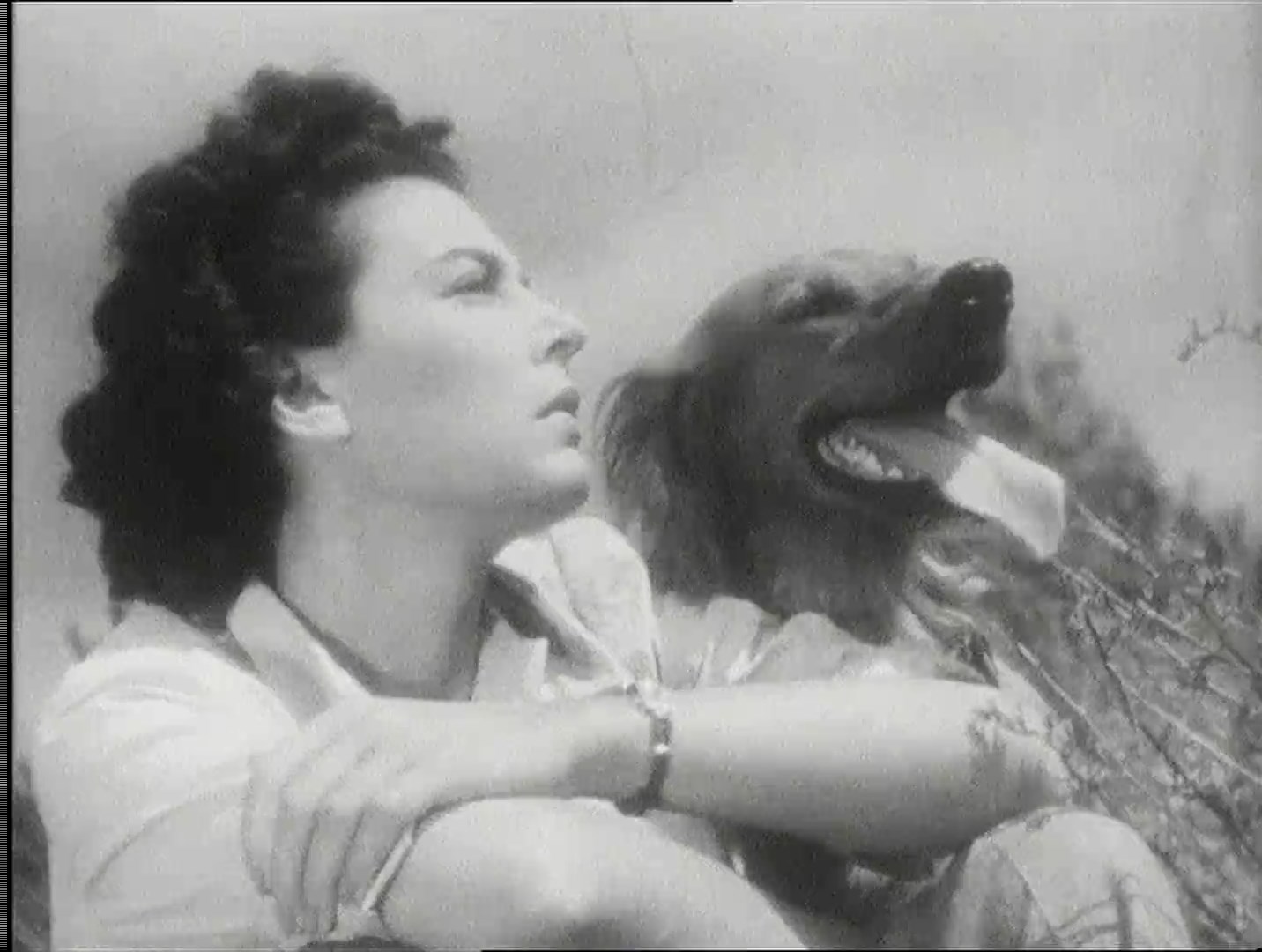 56 rue Pigalle (1949) Willy Rozier, Jacques Dumesnil, Marie Déa, Aimé Clariond, Drama-poster