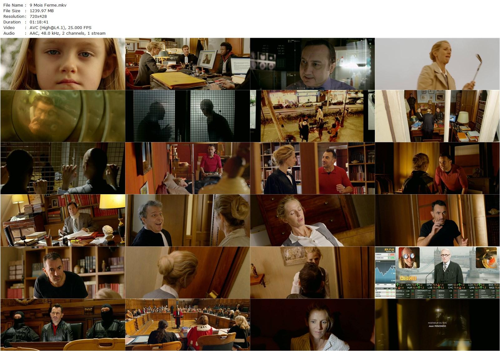 9 Mois Ferme / 9-Month Stretch (2013) Albert Dupontel, Sandrine Kiberlain, Nicolas Marié-poster