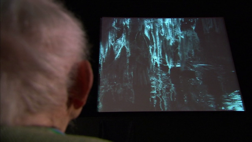 A Boatload of Wild Irishmen (2010) | Worldscinema | Download Free-poster