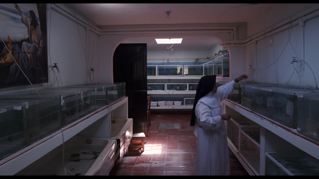 A Common Sequence (2023)-poster