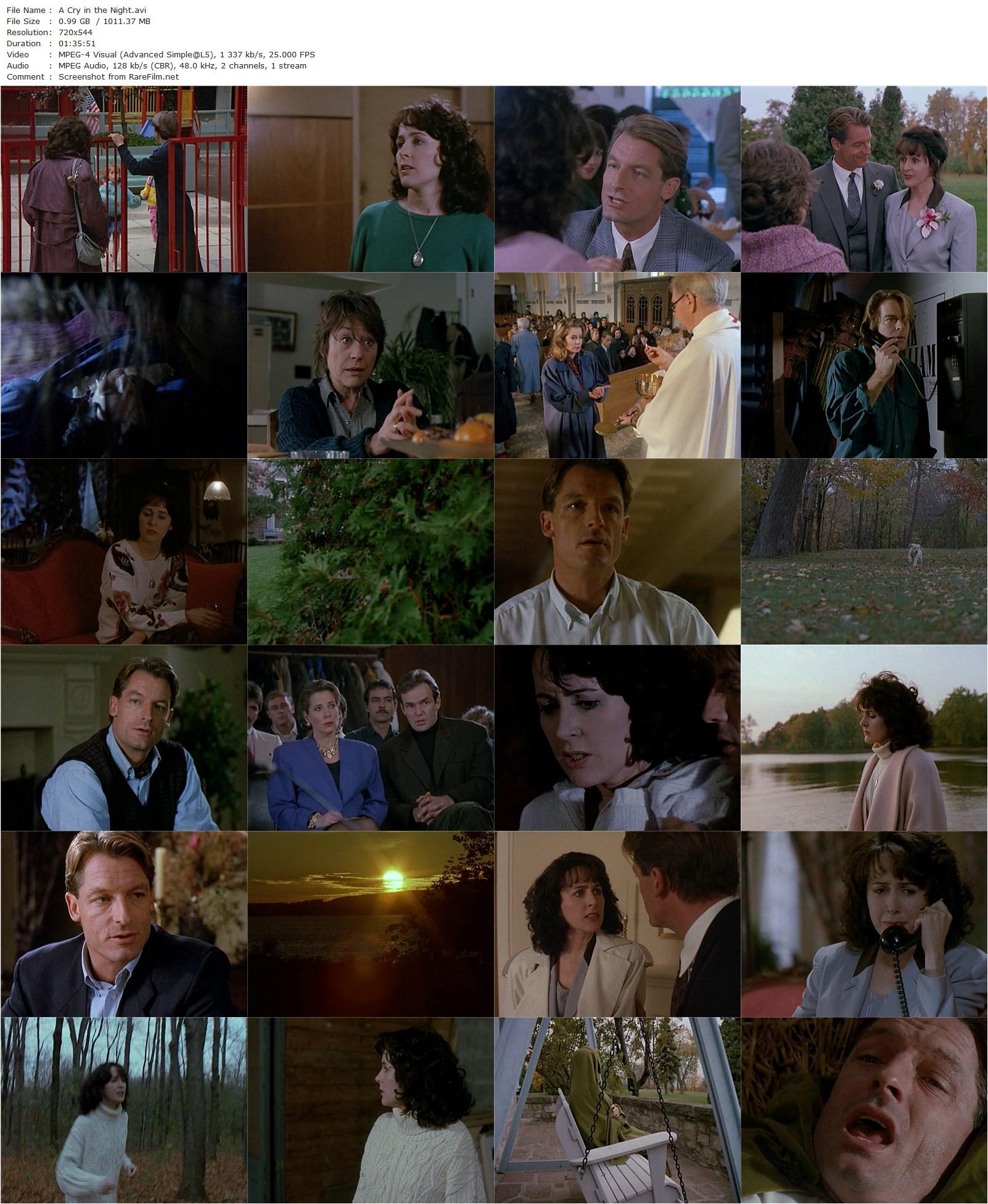 A Cry in the Night (1992) Robin Spry, Carol Higgins Clark, Perry King, Annie Girardot-poster