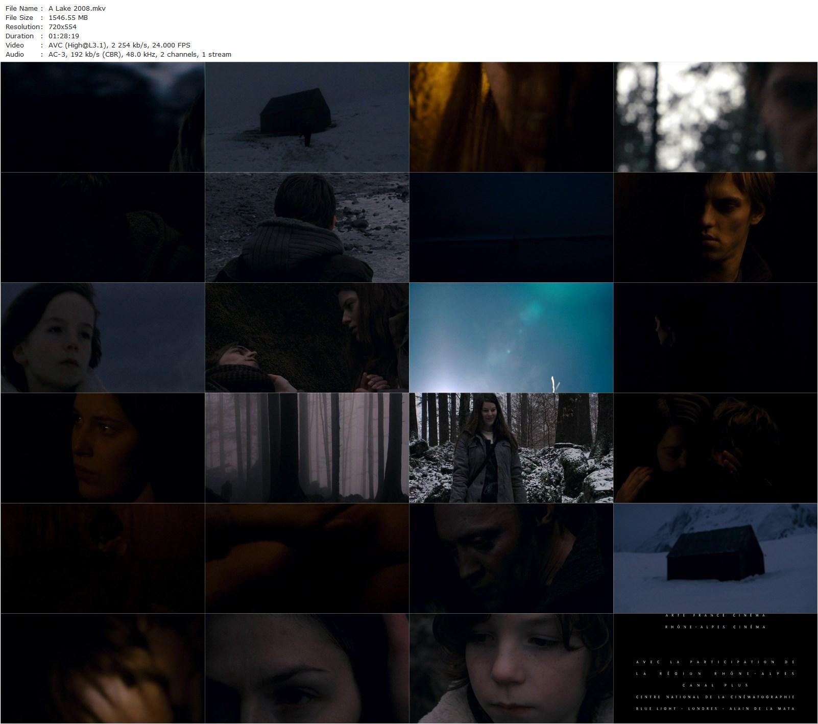 A Lake AKA Un lac (2008) Philippe Grandrieux, Dmitriy Kubasov, Natálie Rehorová, Aleksey Solonchev-poster