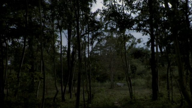Apichatpong Weerasethakul - A Letter to Uncle Boonmee (2009)-poster