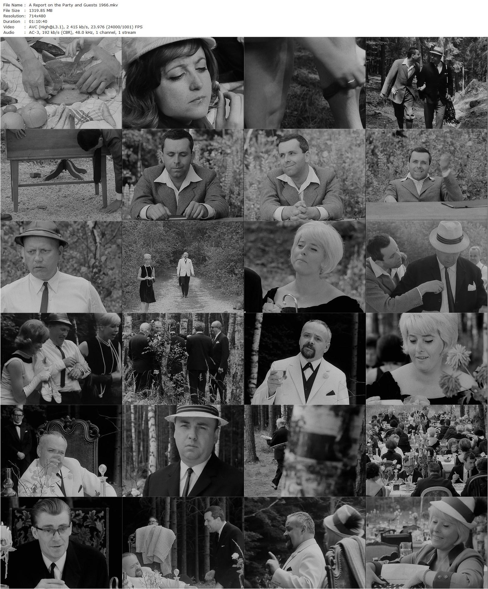 A Report on the Party and Guests AKA O slavnosti a hostech (1966) Jan Nemec, Ivan Vyskocil, Jan Klusák, Jiri Nemec-poster