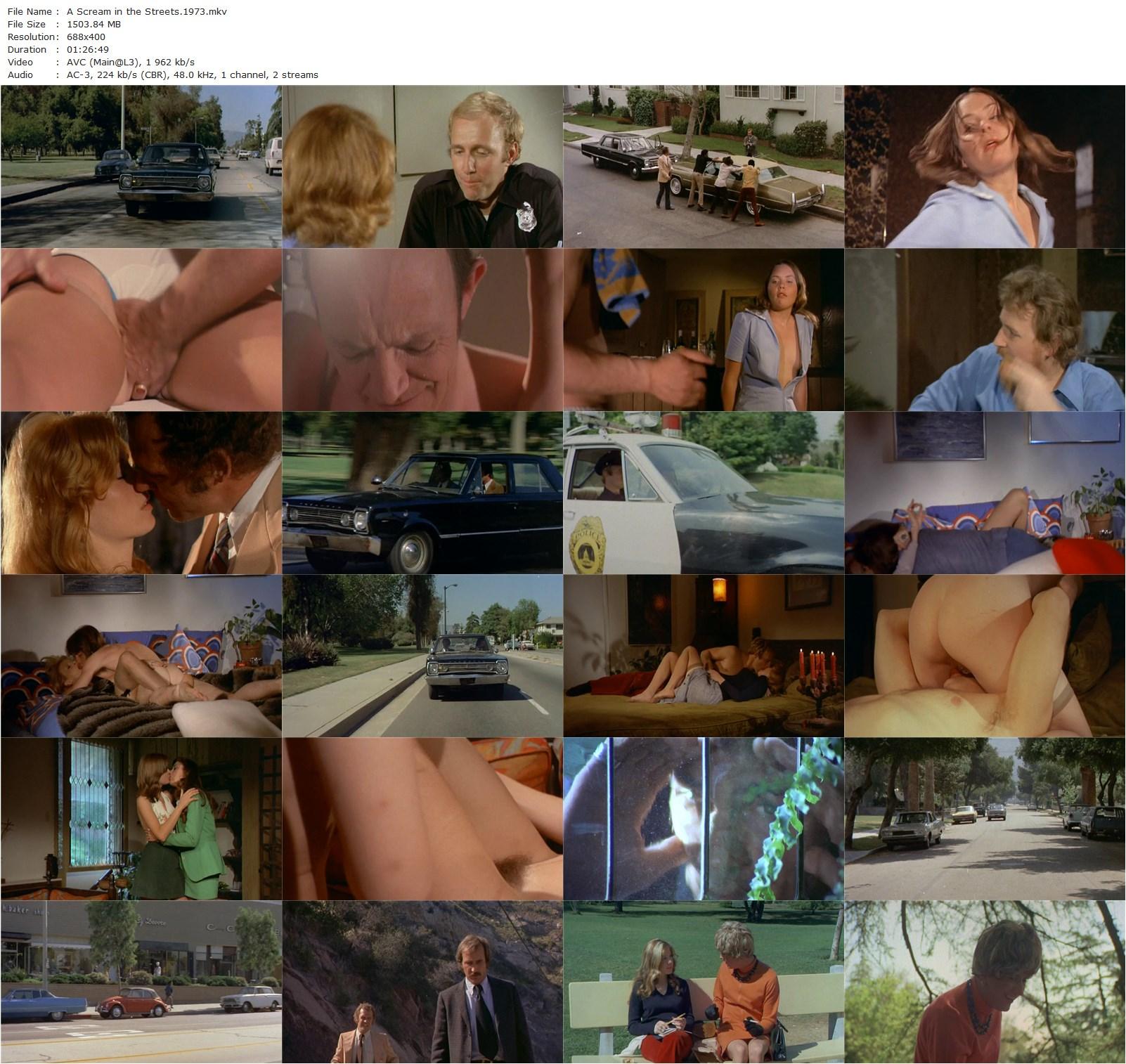 A Scream in the Streets (1973) Carl Monson, Dwayne Avery, Joshua Bryant, Frank Bannon, Rosie Stone-poster