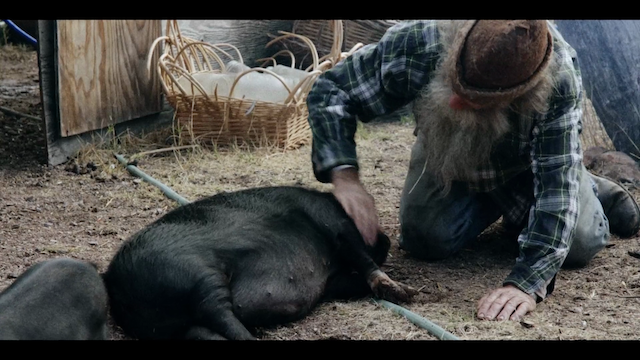 A Shape of Things to Come (2020) | Worldscinema | Download Free-poster