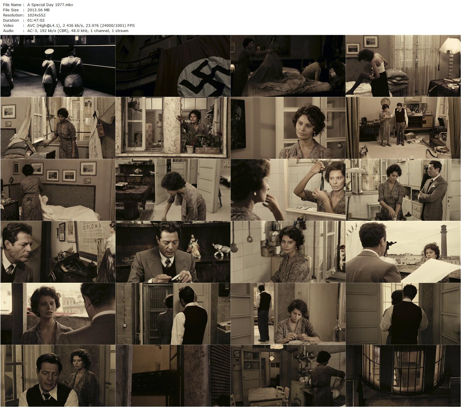 A Special Day AKA Una giornata particolare (1977) Ettore Scola, Sophia Loren, Marcello Mastroianni, John Vernon-poster