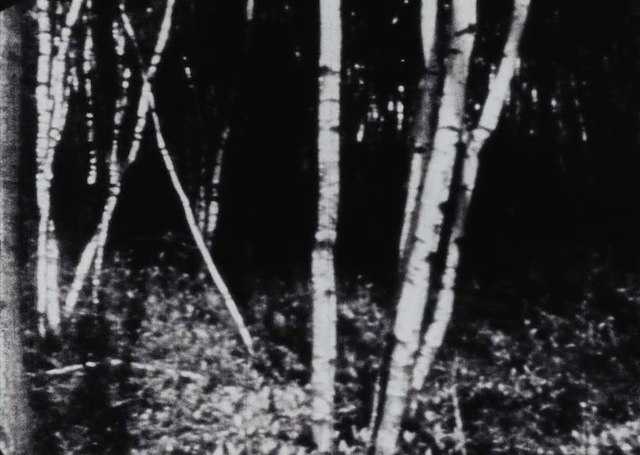 A Study in Choreography for Camera (1945)-poster