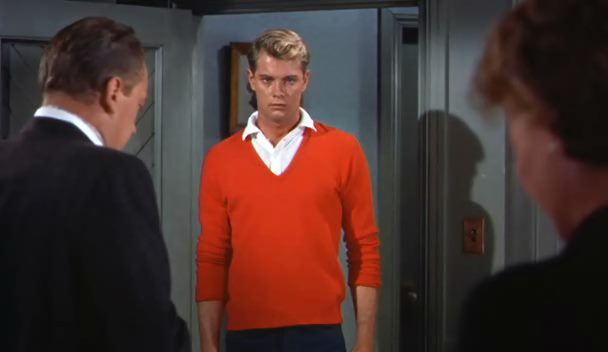 A Summer Place (1959) Delmer Daves, Richard Egan, Dorothy McGuire, Sandra Dee, Drama, Romance-poster