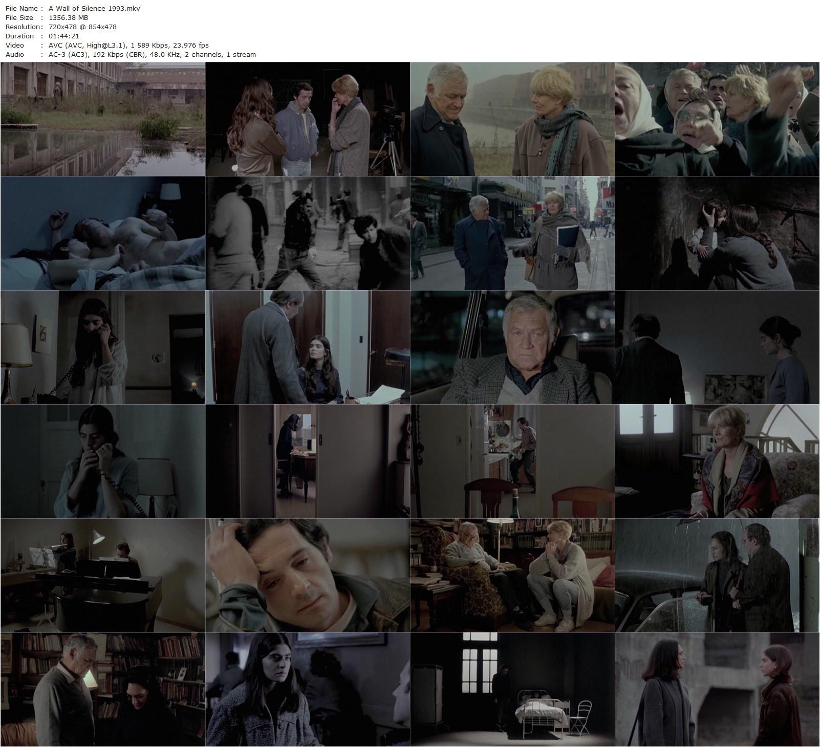 A Wall of Silence (1993) Lita Stantic, Vanessa Redgrave, Ofelia Medina, Lautaro Murúa-poster