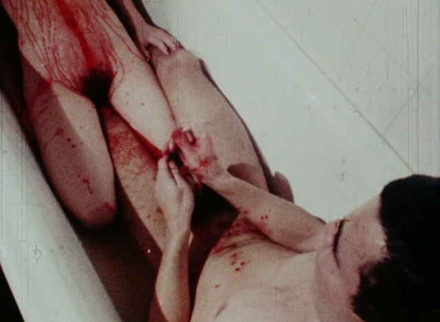 Pierre Clémenti - À l'ombre de la canaille bleue AKA In the Shadow of the Blue Rascal (1986)-poster