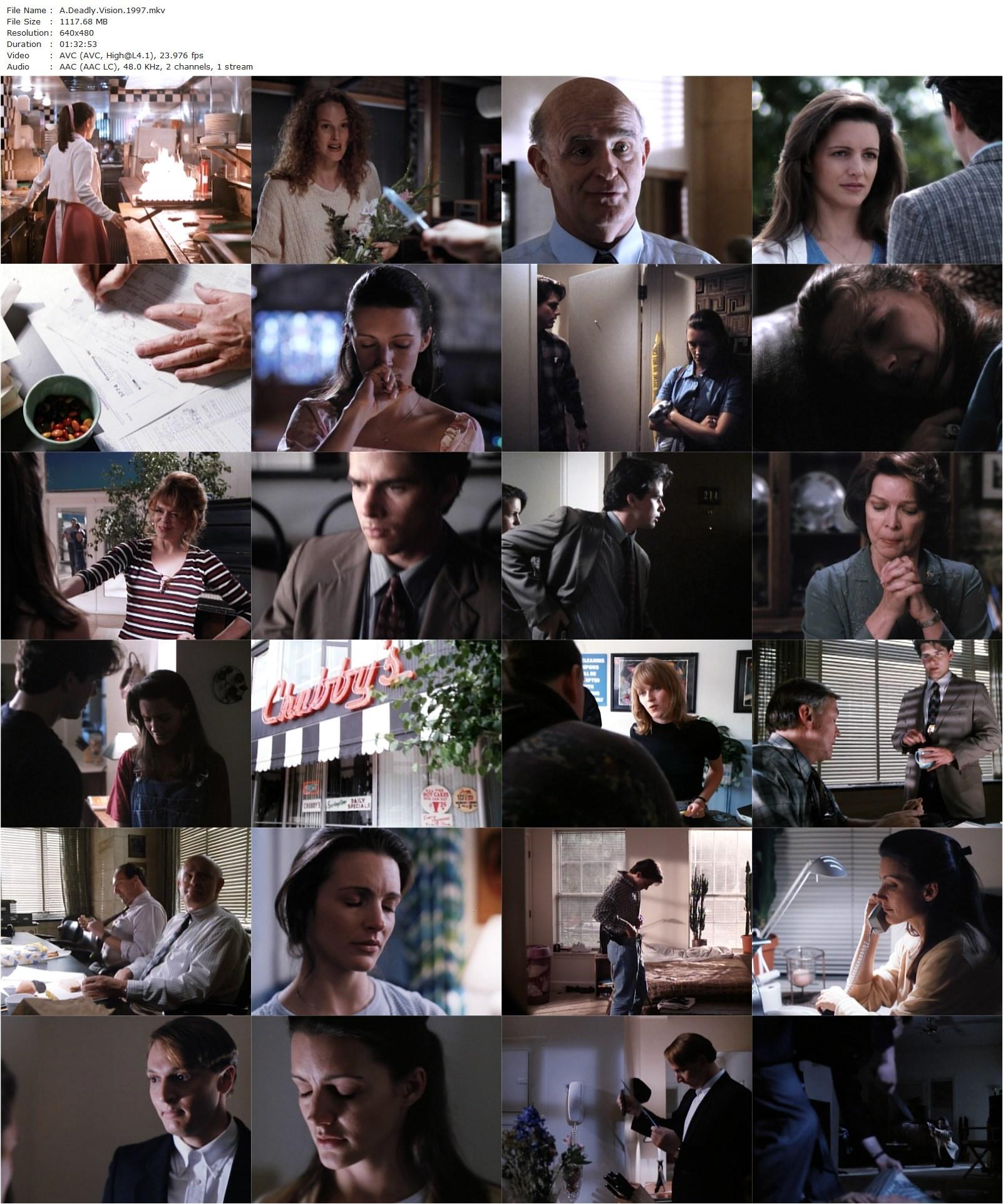 A Deadly Vision (1997) Bill Norton, Kristin Davis, Matthew Settle, Peter Boyle-poster