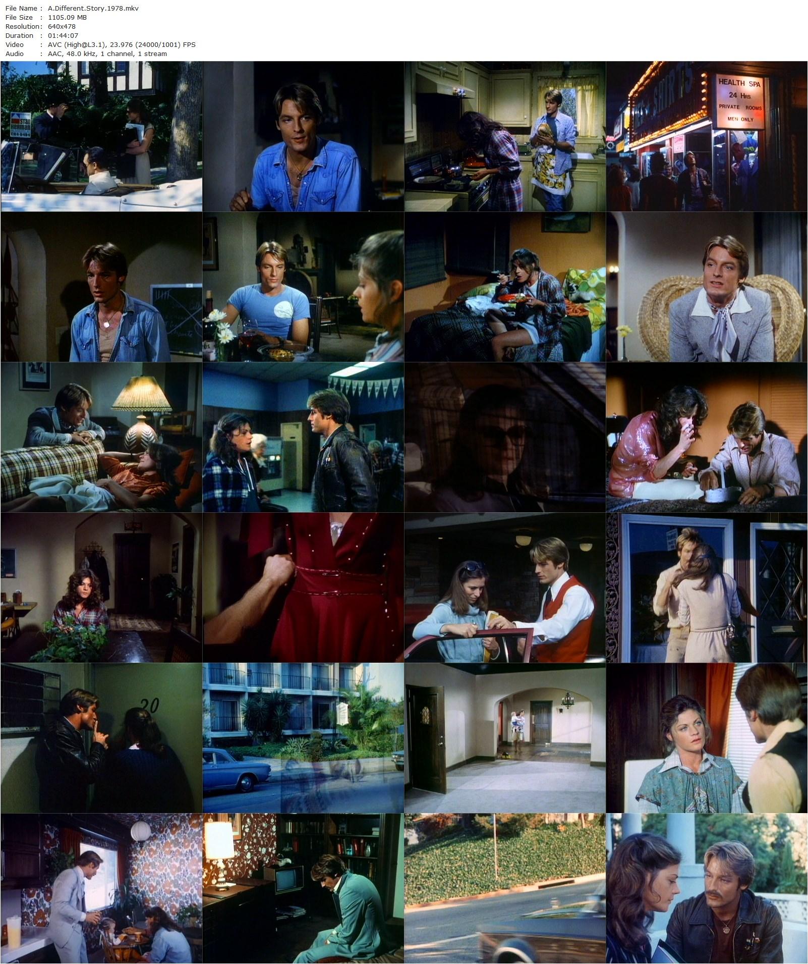 A Different Story (1978) Paul Aaron, Perry King, Meg Foster, Valerie Curtin-poster