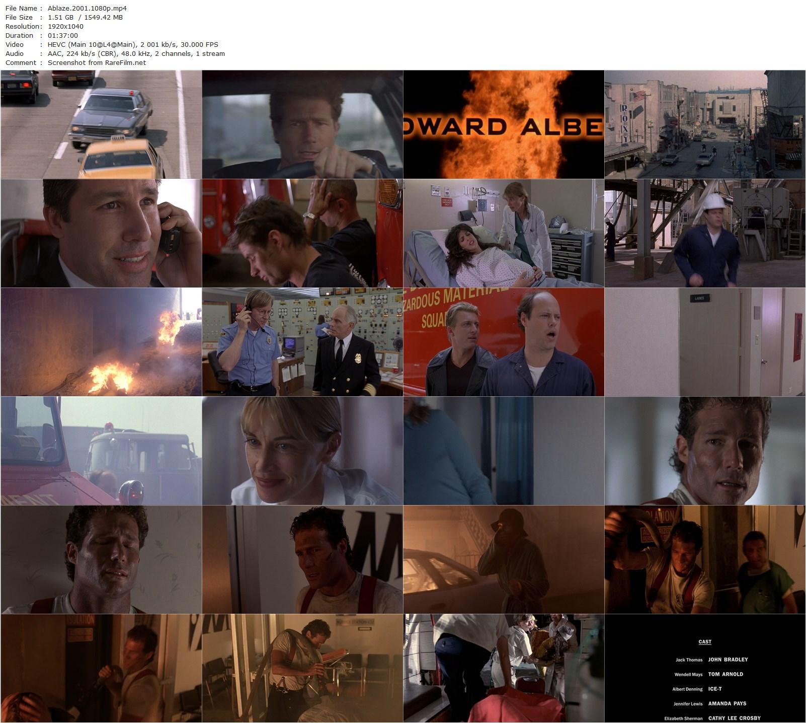 Ablaze (2001) Jim Wynorski, John Bradley, Tom Arnold, Ice-T-poster