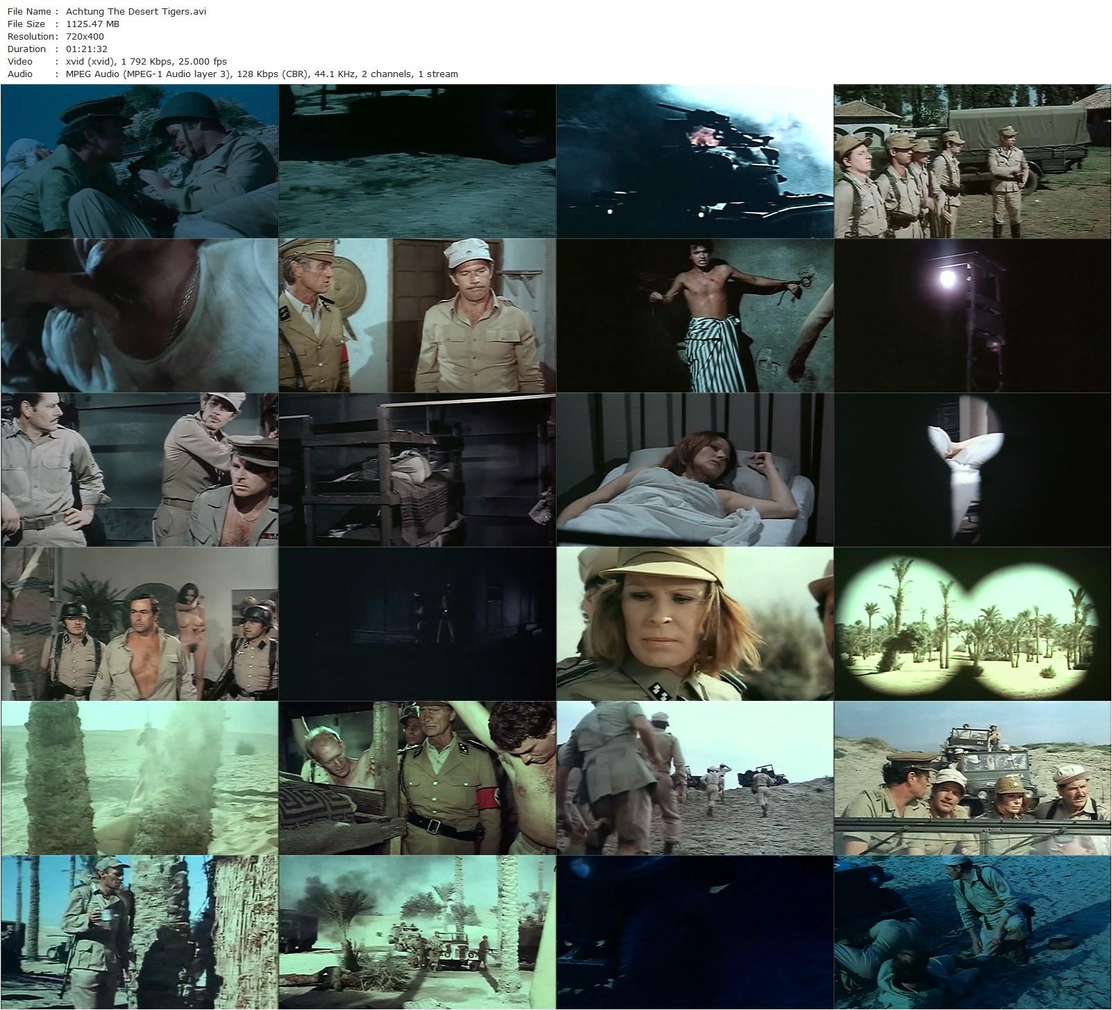 Achtung! The Desert Tigers (1977) Luigi Batzella, Richard Harrison, Lea Lander, Isarco Ravaioli-poster