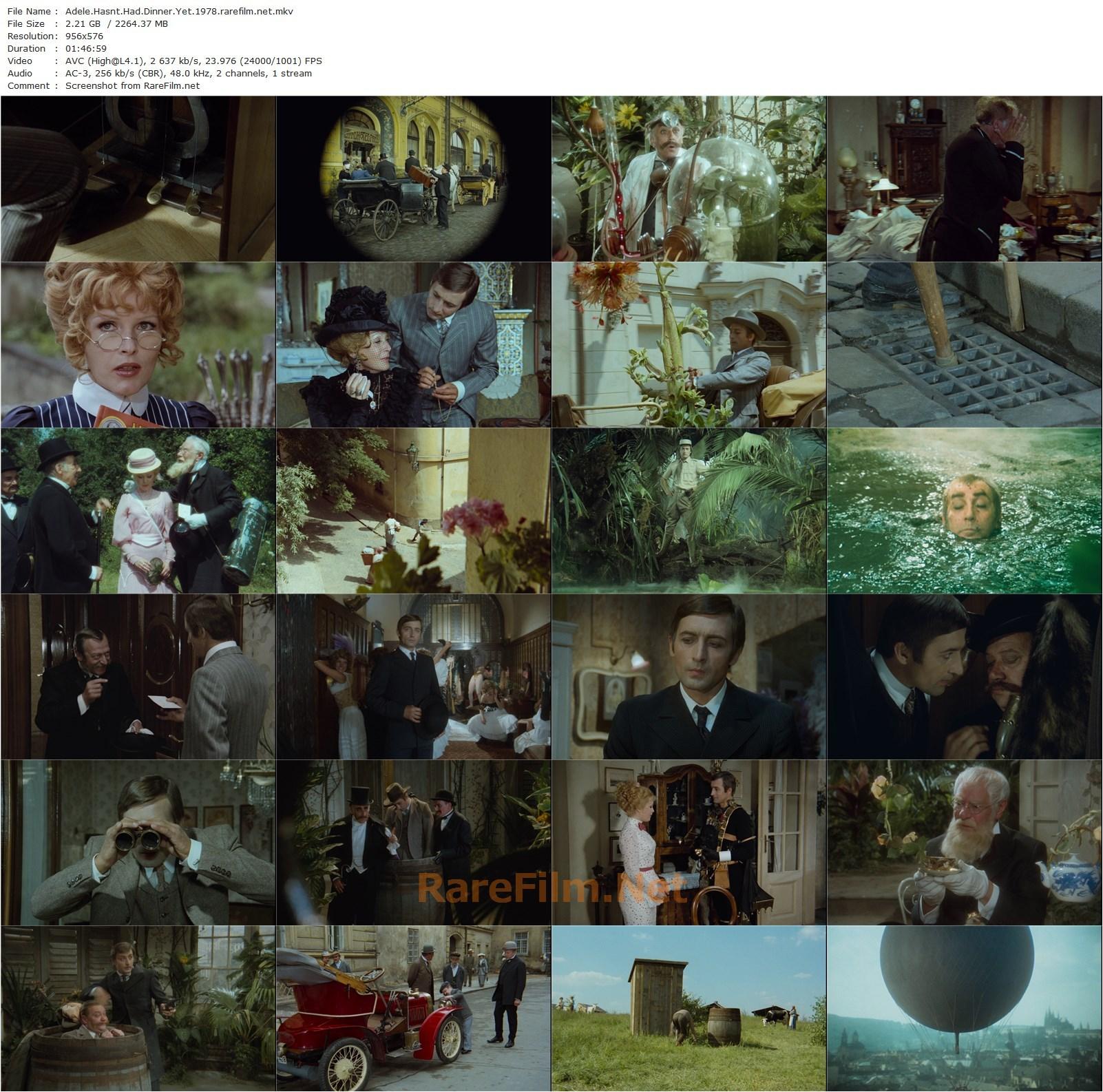 Adele Hasn’t Had Her Dinner Yet / Adéla jeste nevecerela (1978) Oldrich Lipský, Michal Docolomanský, Rudolf Hrusínský, Milos Kopecký-poster