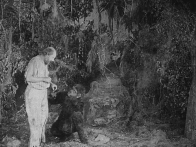 Robert F. Hill & Scott Sidney - The Adventures of Tarzan (1921)-poster