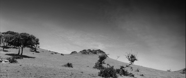 Radu Jude - Aferim! (2015)-poster