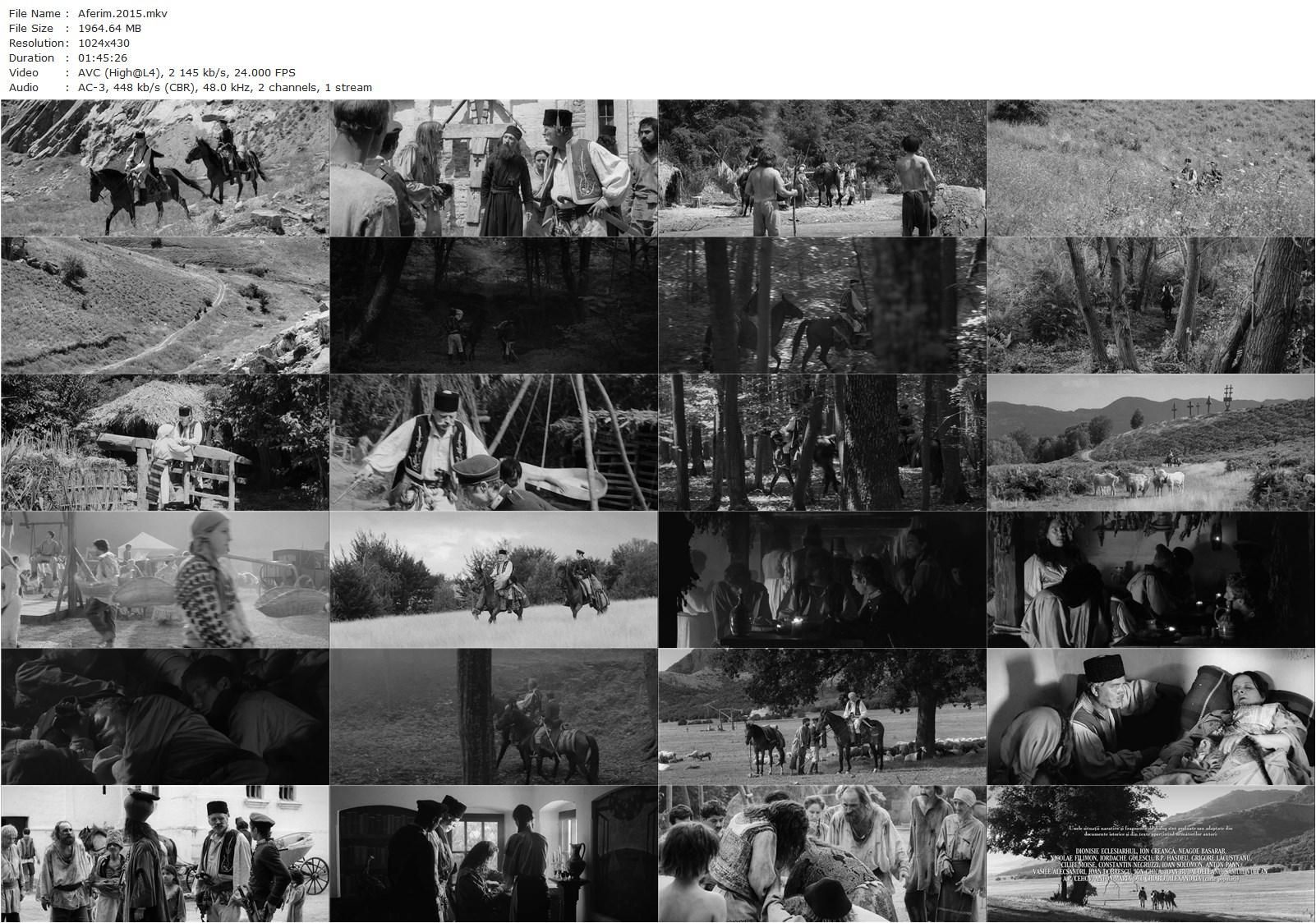 Aferim! (2015) Radu Jude, Teodor Corban, Mihai Comanoiu, Toma Cuzin-poster