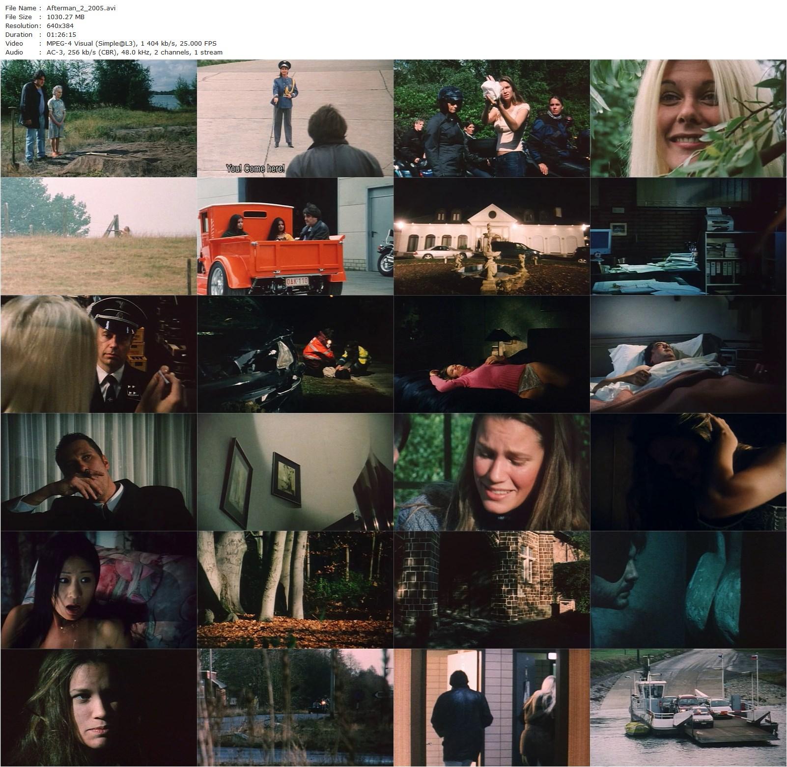 Afterman 2 (2005) Rob Van Eyck, Lindsay Bervoets, Stephane Dopagne, Frida Farrell-poster