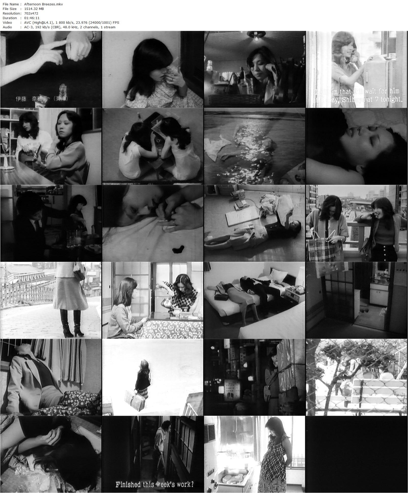 Afternoon Breezes AKA Kazetachi no gogo (1980) Hitoshi Yazaki, Setsuko Aya, Naomi Ito, Hiroshi Sugita-poster