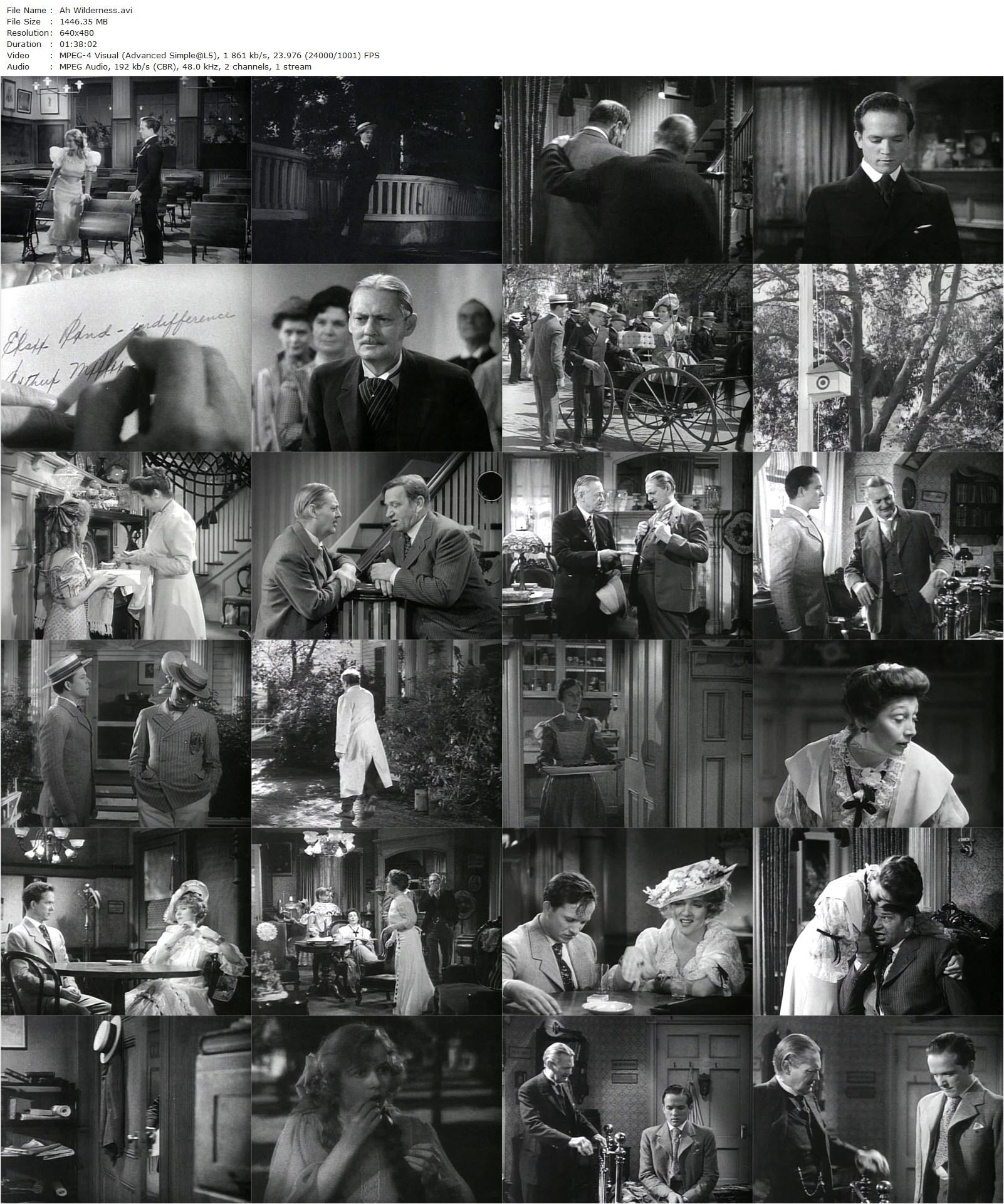 Ah Wilderness! (1935) Clarence Brown, Wallace Beery, Lionel Barrymore, Aline MacMahon-poster