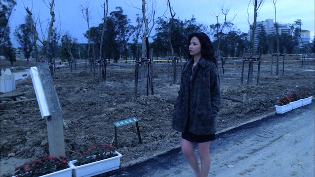 Ming-liang Tsai - Ai qing wan sui AKA Vive l'amour (1994)-poster