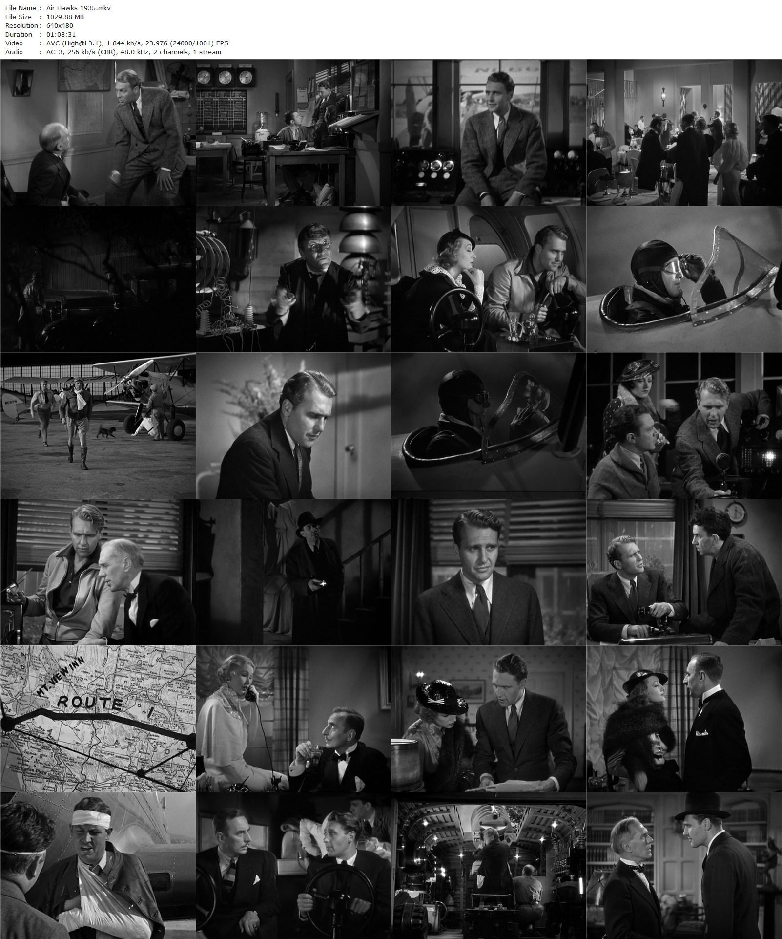 Air Hawks (1935) Albert S. Rogell, Ralph Bellamy, Tala Birell, Wiley Post-poster