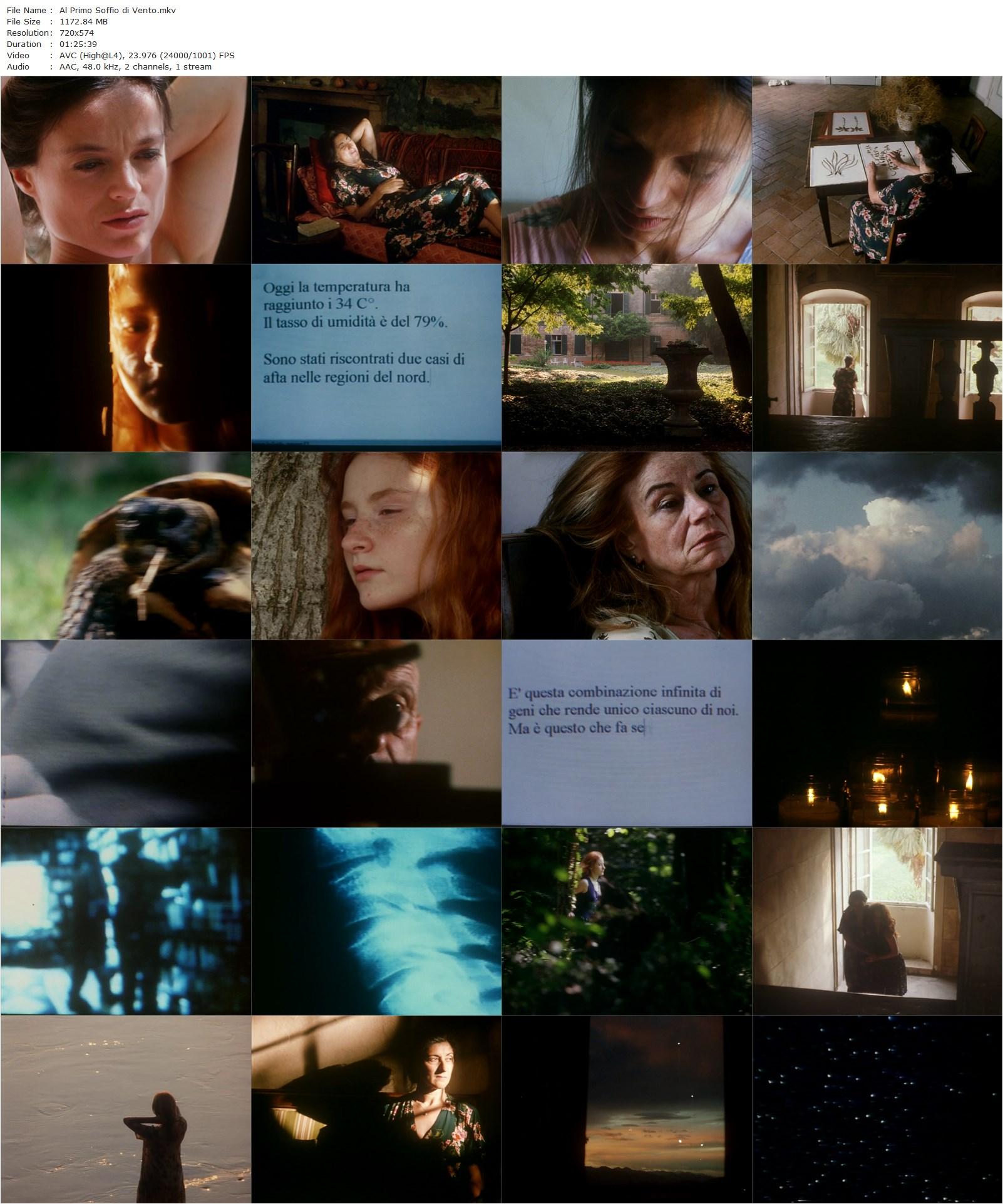 At the First Breath of Wind AKA Al Primo Soffio di Vento (2002) Franco Piavoli, Primo Gaburri, Mariella Fabbris, Ida Carnevali-poster