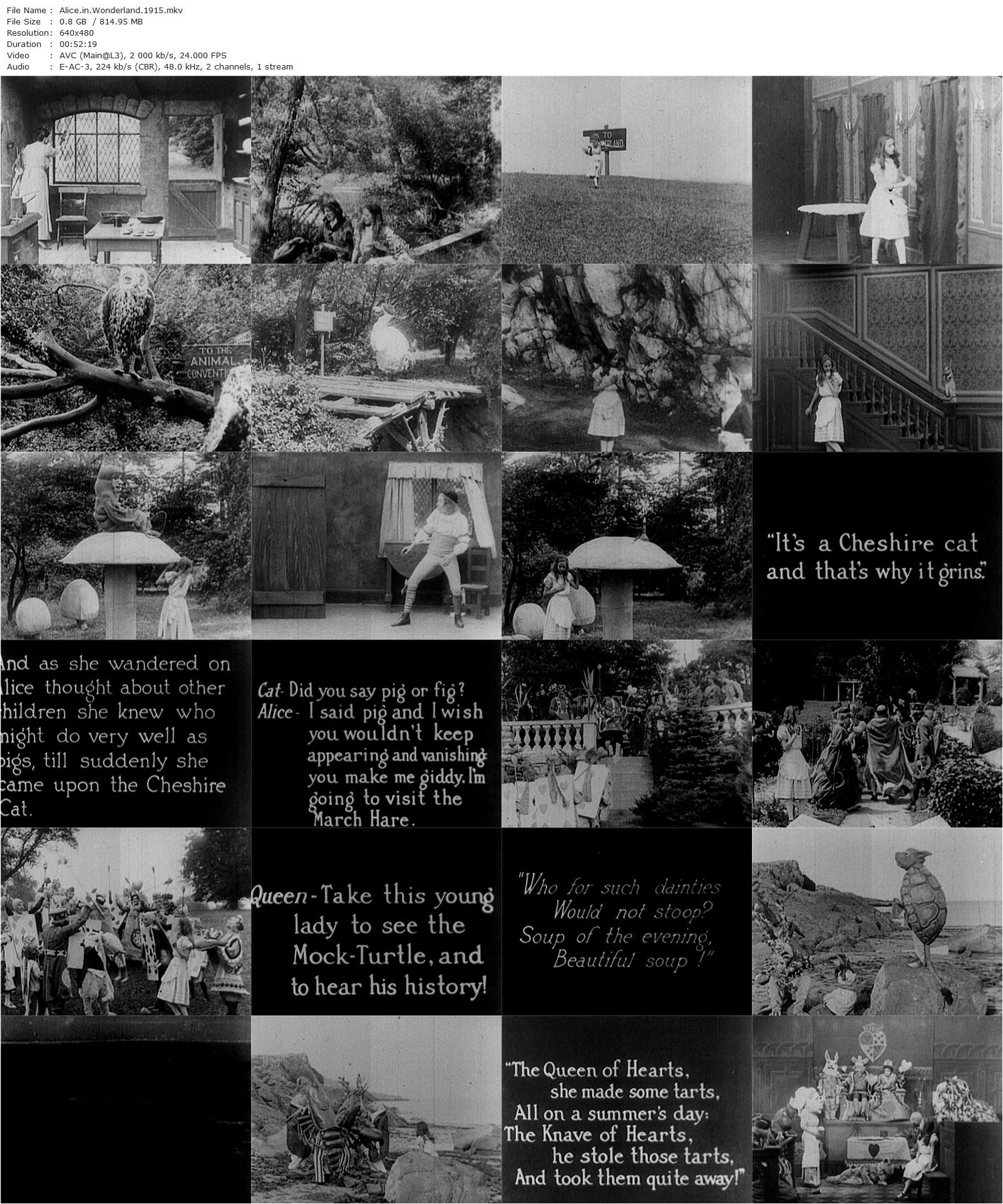 Alice in Wonderland (1915) W.W. Young, Viola Savoy, Herbert Rice, Harry Marks-poster