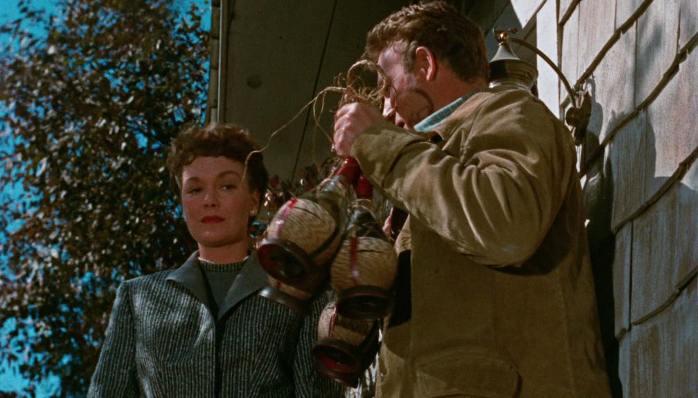 All That Heaven Allows (1955) Douglas Sirk, Jane Wyman, Rock Hudson, Agnes Moorehead, Drama, Romance-poster