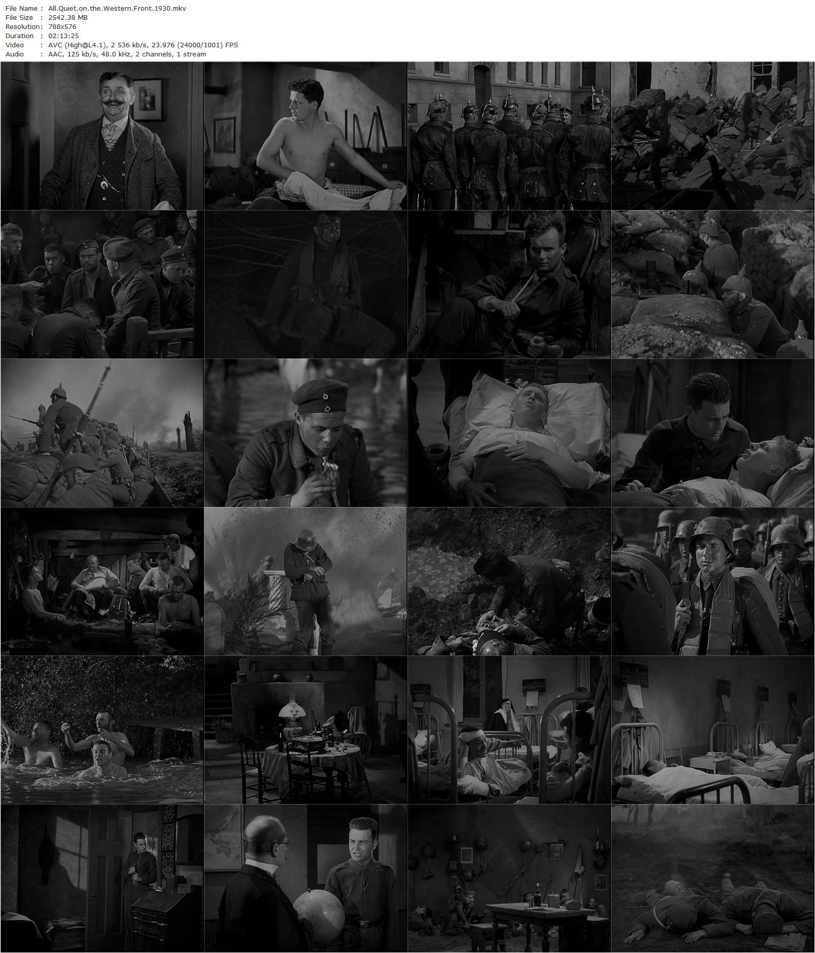 All Quiet on the Western Front (1930) Lewis Milestone, Lew Ayres, Louis Wolheim, John Wray-poster