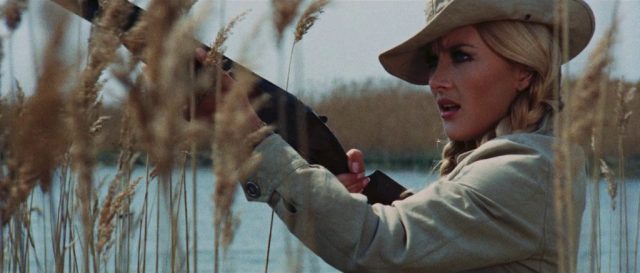 Alla ricerca del piacere (1972) | Worldscinema | Download Free-poster