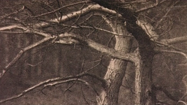 Rita Azevedo Gomes - Altar (2003)-poster