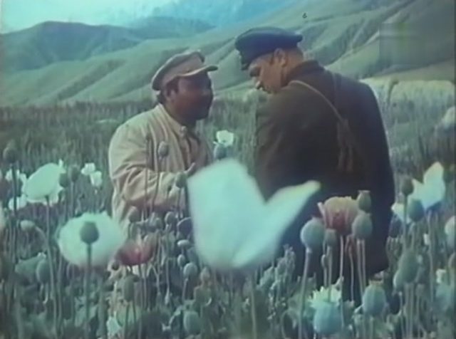 Alye maki Issyk-Kulya (1972) | Worldscinema | Download Free-poster
