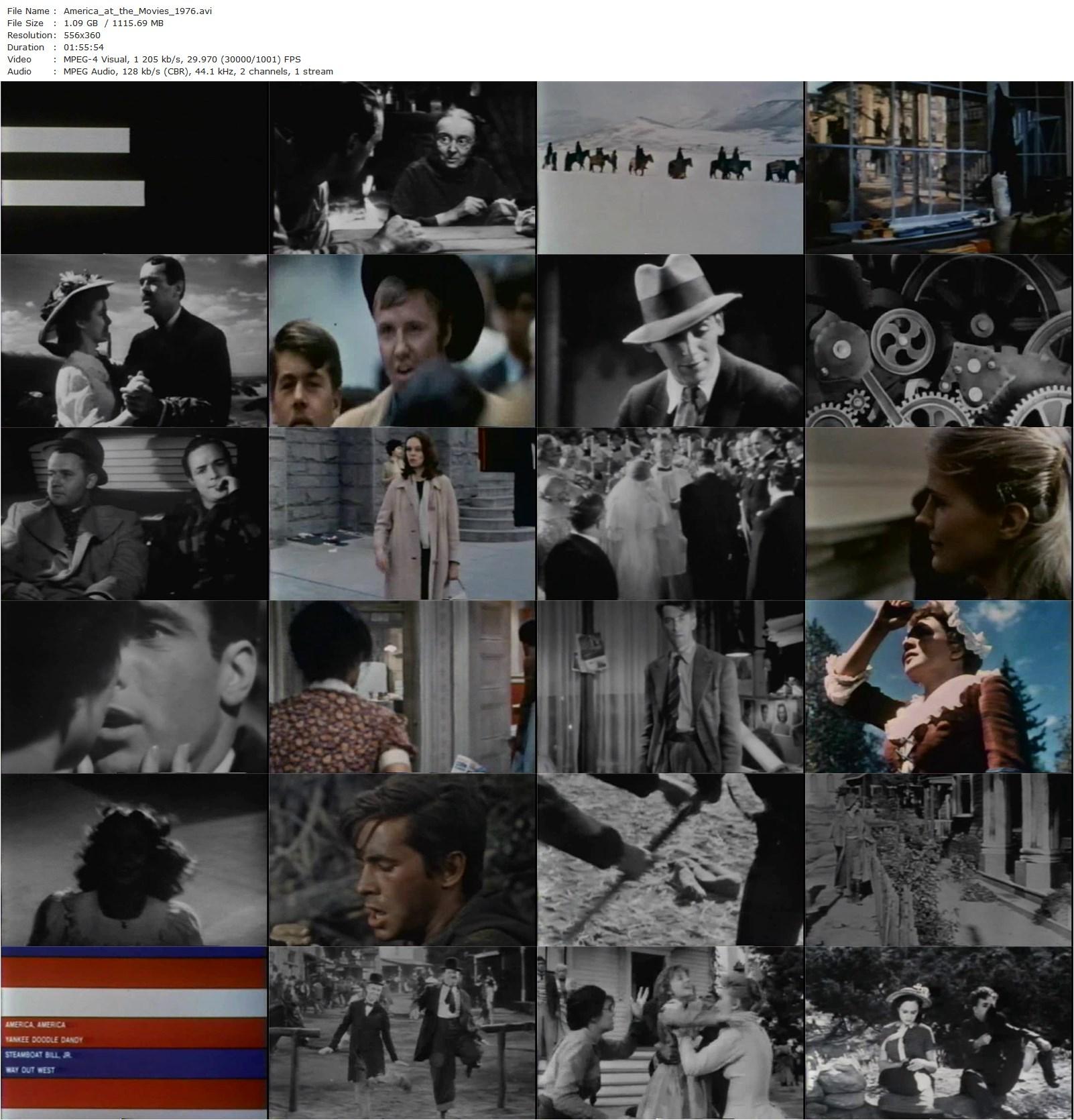 America at the Movies (1976) George Stevens Jr., Woody Allen, Alan Arkin, Martin Balsam-poster