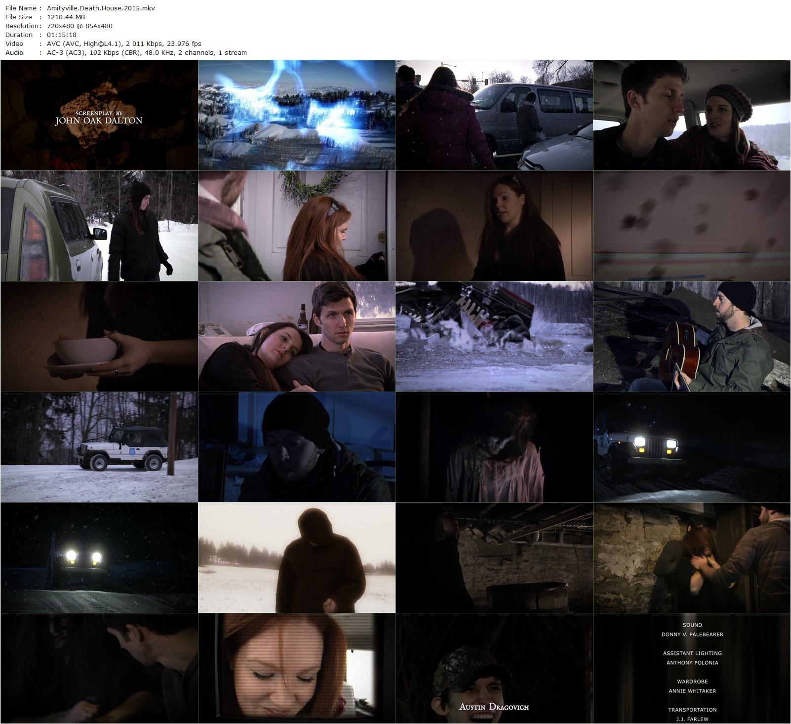 Amityville Death House (2015) Mark Polonia, Kyrsten St. Pierre, Michael Merchant, Cassandra Hayes-poster