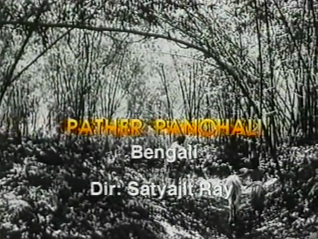 And the Show Goes On - Indian Chapter (1995)-poster