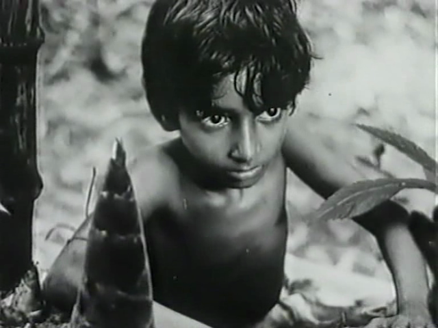 And the Show Goes On - Indian Chapter (1995)-poster