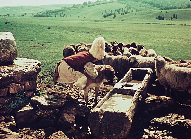 Andriesh (1954) | Worldscinema | Download Free-poster