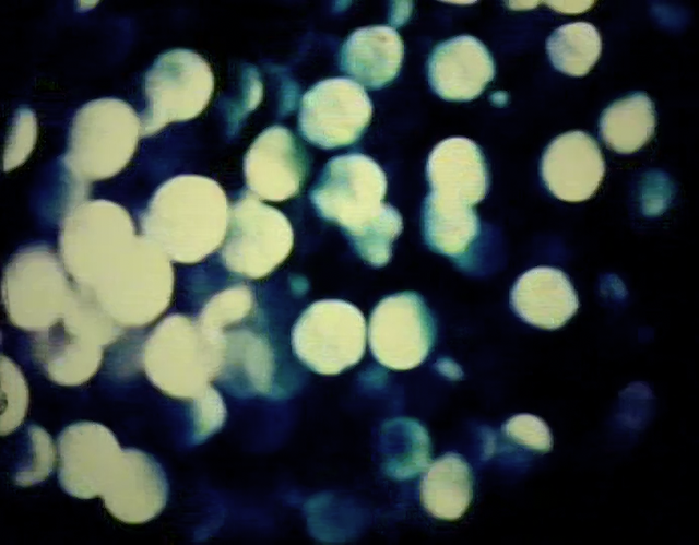 Angel Blue Sweet Wings (1966)-poster