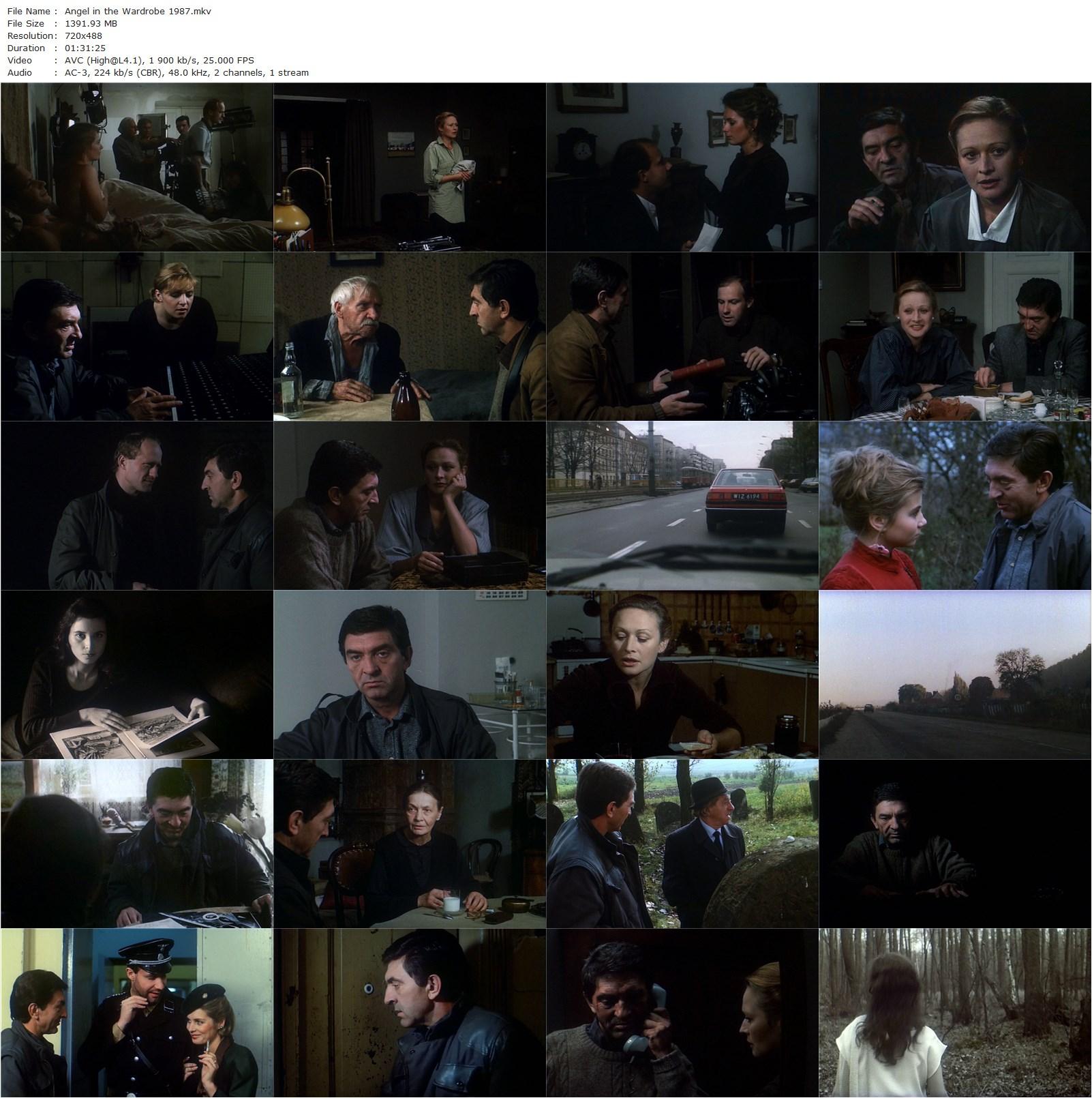 Angel in the Wardrobe AKA Aniol w szafie (1987) Stanislaw Rózewicz, Jerzy Trela, Grazyna Barszczewska, Maria Czubasiewicz-poster