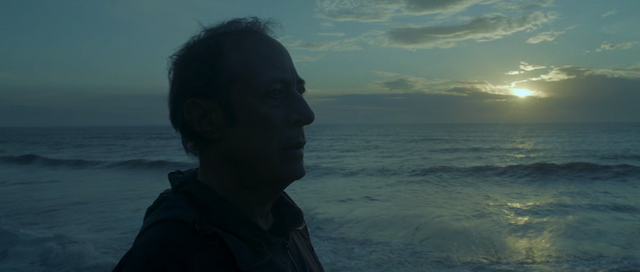 Animal (2018) | worldscinema.org-poster