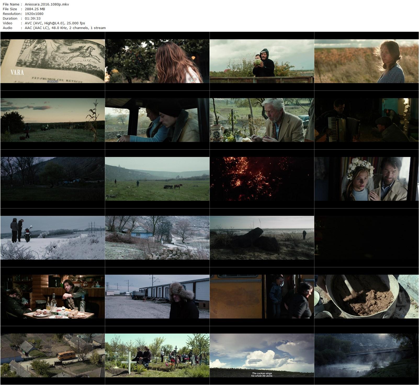 Anisoara (2016) Ana Felicia Scutelnicu, Willem Menne, Andrei Morari, Anisoara Morari-poster