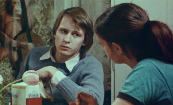 Anita – ur en tonårsflickas dagbok / Anita: Swedish Nymphet (1973) Torgny Wickman, Christina Lindberg, Stellan Skarsgård, Danièle Vlaminck, Drama, Erotic-poster